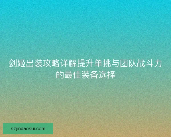 剑姬出装攻略详解提升单挑与团队战斗力的最佳装备选择