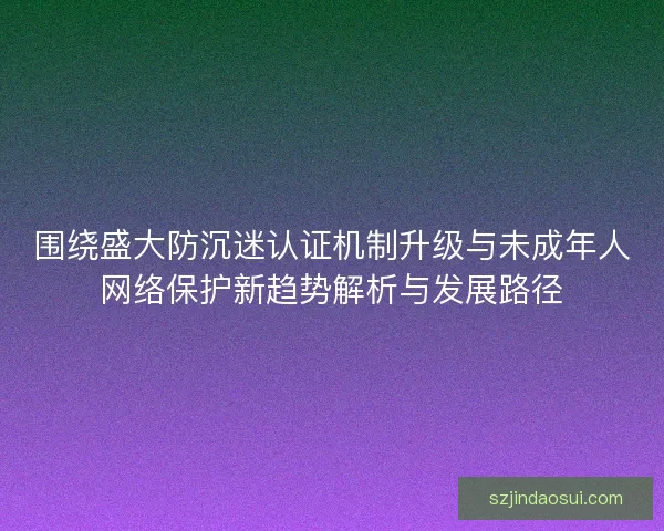 围绕盛大防沉迷认证机制升级与未成年人网络保护新趋势解析与发展路径