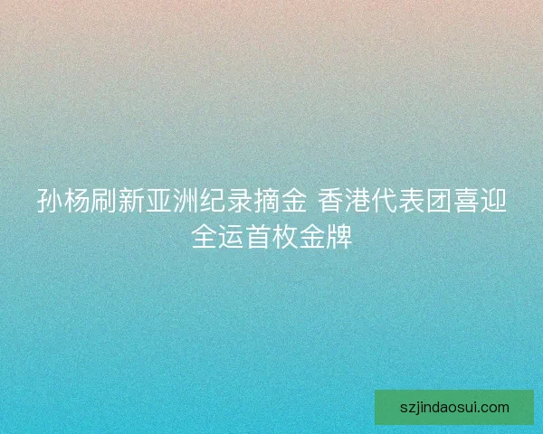 孙杨刷新亚洲纪录摘金 香港代表团喜迎全运首枚金牌