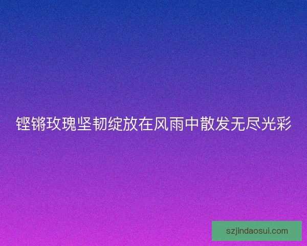 铿锵玫瑰坚韧绽放在风雨中散发无尽光彩