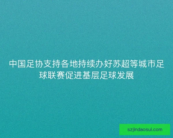 中国足协支持各地持续办好苏超等城市足球联赛促进基层足球发展