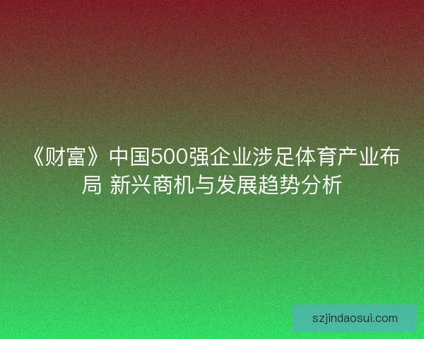 《财富》中国500强企业涉足体育产业布局 新兴商机与发展趋势分析 《财富》中国500强企业涉足体育产业布局 新兴商机与发展趋势分析